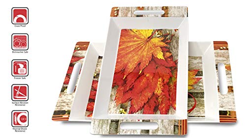 Image of Crystal By UPC Melamine Serving Tray, Set of 2 (Medium and Large Size) Rosseate Series Tray