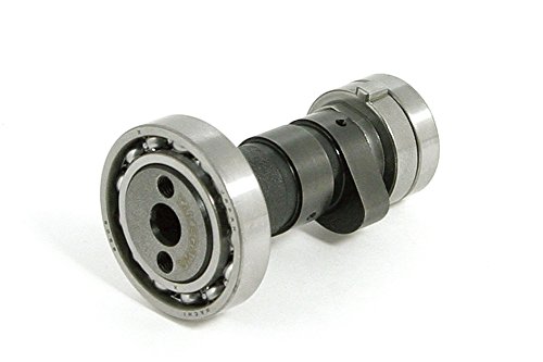 41qorSZf99L.jpg