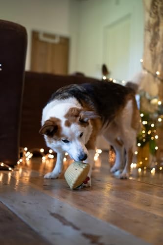 Petface Misha Mince Pie Hundespielzeug aus Latex mit integriertem Quietscher
