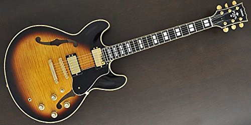 Amazon.co.jp: YAMAHA ヤマハ セミアコースティックギター SA