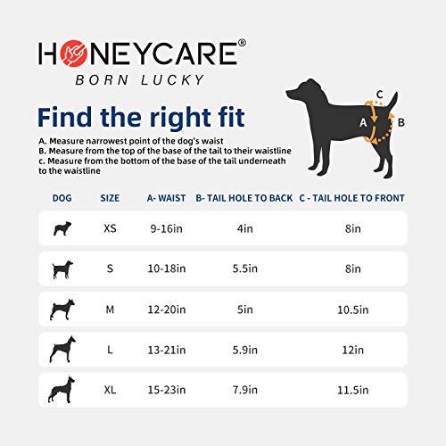 Honey Care All-Absorb Disposable Dog Diapers, Medium #TOP6