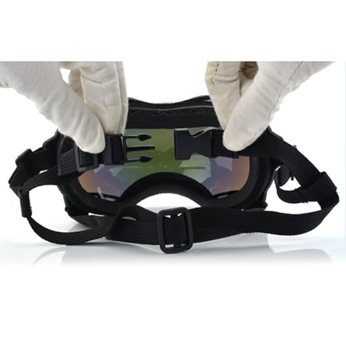 Lunettes coupe-vent pour chats et chiens de taille moyenne pour la marche - 3