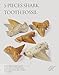 KALIFANO Authentic Fossilized Prehistoric Mini Shark Teeth (5 Pack) from Morocco - Shark Tooth for Fossil Collections and Education Purposes (Information Card Included)