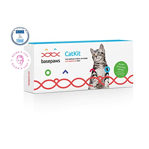 Basepaws | Cat DNA Test Kit | Breed, Health & Wildcat Index |