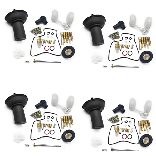 Kit réparation carburateur VLX résout les fuites et ratés moteur Steed 600