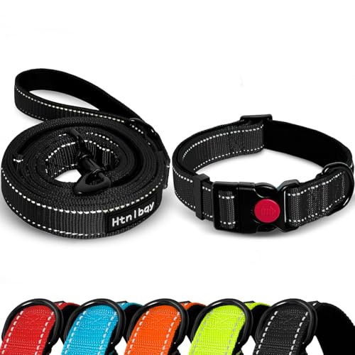 Double-Sided Reflective Dog Leash, 5 FT Padded Handle Nylon Dogs ...