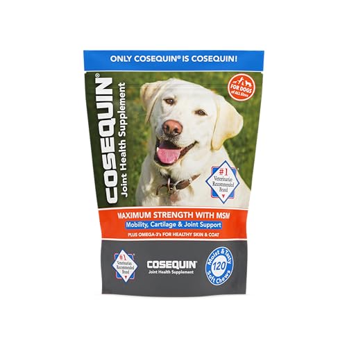 Cosequin-Joint-Health-Supplement-for-Dogs-With-Glucosamine-Chondroitin-MSM-and-Omega-3s-120-Soft-Chews