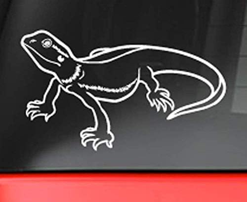 bearded dragon decal