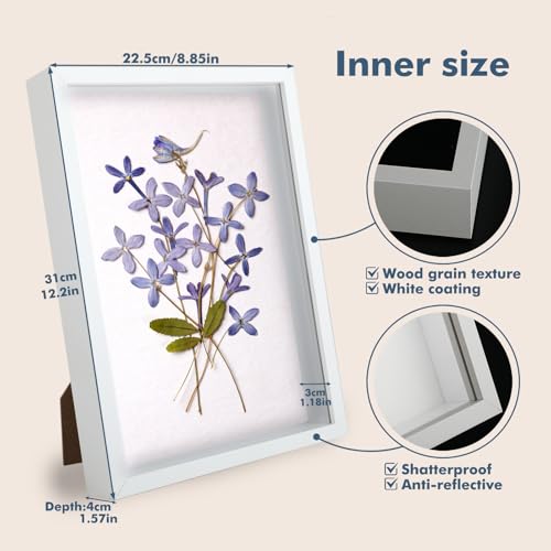 3D Bilderrahmen zum Befüllen A4 – Tiefer Bilderrahmen 3 cm, Bilderrahmen Tief zum Befüllen aus MDF mit Acrylglas, Objektrahmen für Fotos, Trockenblumen, Erinnerungen & DIY Deko