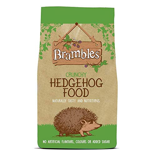 How to encourage hedgehogs How to encourage hedgehogs