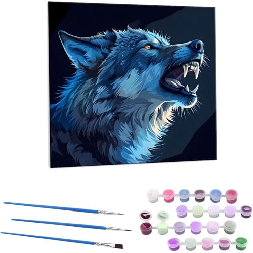 T G Paint by Numbers hG Lbg l ʂ肦 lphGLoXNtg  LoXA[g uVƃANG̋, ItBX CeA rO, ւ̃Mtg 60x60cm (t[X