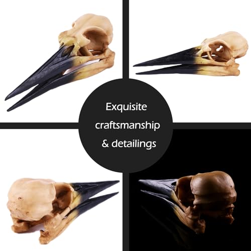 Image of Fish Cave Hideout Ornament Decor for Terrarium Dinosaur Animal Skull Aquarium Large Decorations Betta Tarantula Reptile Snake Decor Bones Halloween