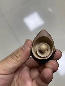 木製、人物像、六体セットです.、 楽天市場】27 トゥエンティセブン マトリョーシカ 人形 オブジェ