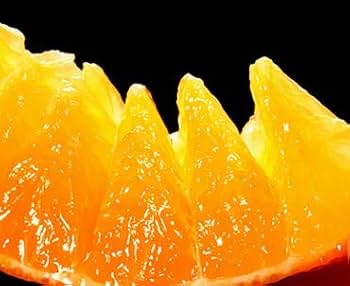 Amazon.co.jp: 紅まどんな 9～11個 贈答用 愛媛がプライドをかけ