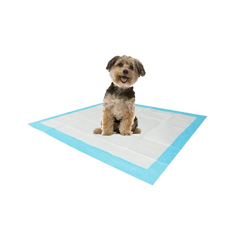 Protectores Absorventes Empapadores Desechables 60x90cm (3x50un / 150 unidades)