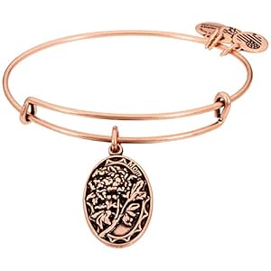 Alex and Ani Because I love you, Mom II Expandable Rafaelian Rose Gold Finish Bangle Bracelet