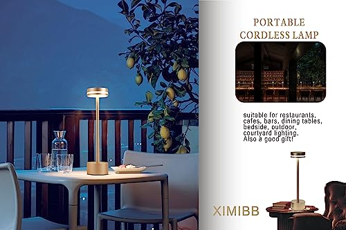 Ximibb Crystal Lamp 16 Color Touch Control Rose Table Lamp Remote Romantic Prism Charging Led Rgb Night Light For Living Room Valentines Day Gift (Gold) #TOP5