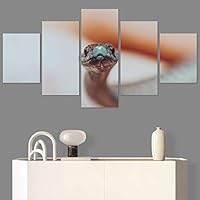 SIGNWIN 5 Panel Canvas Wall Art Coiling Around for Home Decorations Ready to Hang - 60