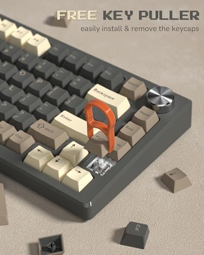 Image of Womier Custom PBT Doubleshot Keycaps, Cherry Profile Retro, 60 /65 /75 /100 Percent, 61 /64 /68 /84 /87 /100 /104 /108 Keys, Brown Gray