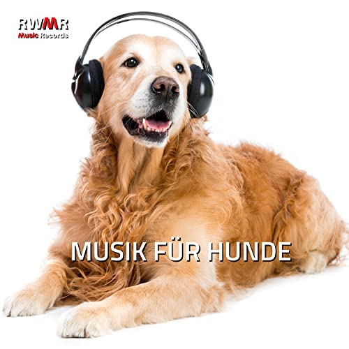 Musik Für Hunde Gegen Angst Welpen Schlafen – Die 15 besten Produkte im Vergleich