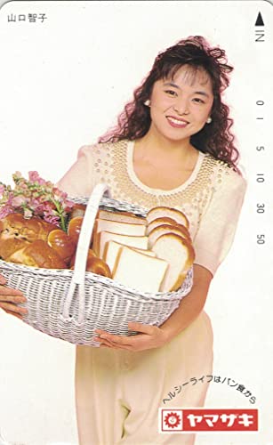 【未使用】山口智子　ソメスサドル 「山笑う」コラボ バッグ 本革 41qpafXOtrL.jpg