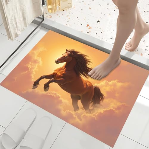 Felpudo de entrada lavable 45x75 cm: tapete antideslizante para pasillo y exterior 5