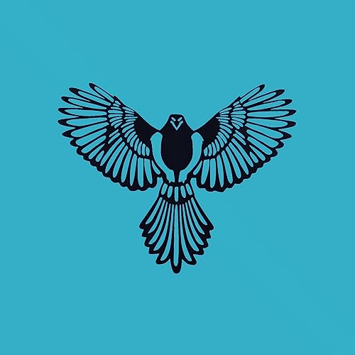 Image of METSY Laser Cut Metal Wall Art | Metal Wall Hanging | Eagle Wall Decor |36cmx26cm Thickness Mild Steel Material with Black Powder Coating