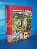 Urgeschichte im Rheinland: Jahrbuch 2005 des Rheinischen Vereins für Denkmalpflege und Landschaftsschutz