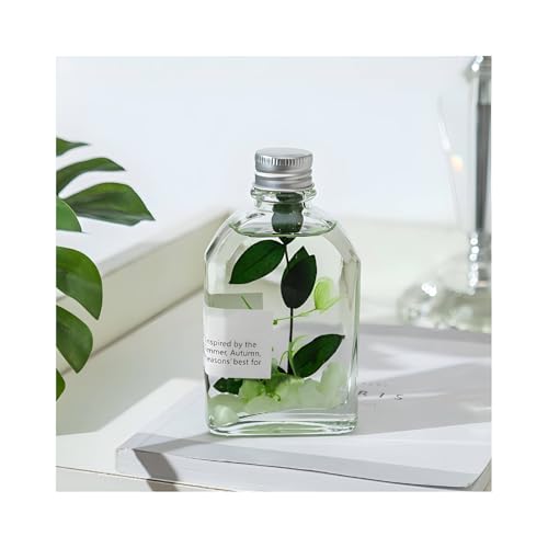 Reed Diffuser Set con 10 palitos y flores secas 100ml