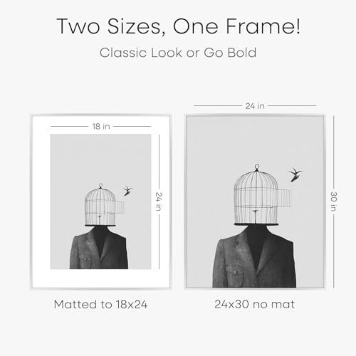 Image of Homeforia Poster Silver Frame 24x30, High End Metal 24 x 30 Large Picture Frames with Mat 18 by 24 for Photo, 24x30 Silver Frames Matted to 18x24 Print, 30x24 Frame, Tempered Glass, Wall Kit, Set of 1