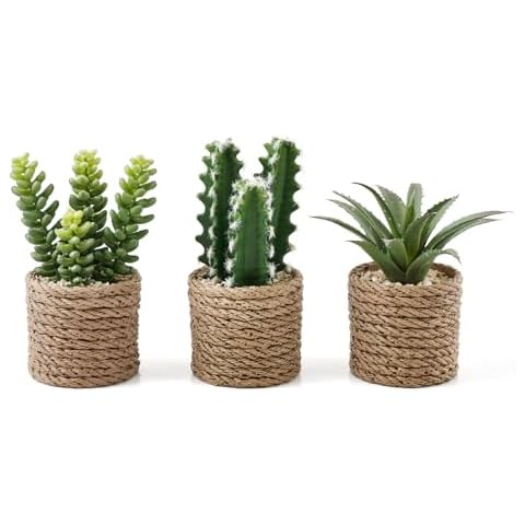 Fuxdre Artificial Succulent Plants Set Cover