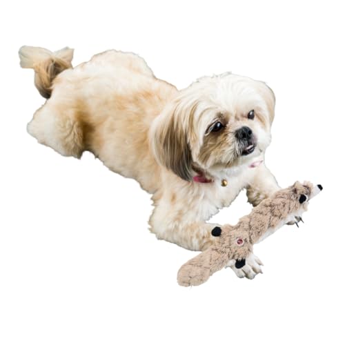 SPOT Skinneeez Extreme Quilted Raccoon - Durable, Stuffing Free Dog ...