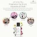 BIOCURA BC Perfume 353 Inspired by Mr. Spartan Perfume 2017 For Men Replica Fragrance Body Oil Dupes Alcohol-Free Sample Travel Size Concentrated Long Lasting Roll-On 0.3 Fl Oz/10ml-X1