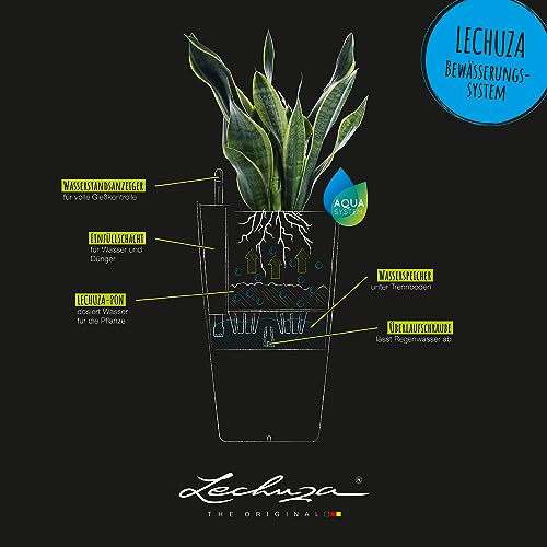 Lechuza CILINDRO Color 23 Self Watering Planter Garden Plastic Indoor and Outdoor Flower Plant Pot with Drainage Hole D23 H41 cm Sand Brown