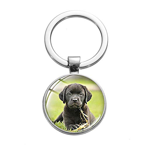 Preisvergleich Produktbild Haustier Hund Schlüsselanhänger Niedlicher Tierschmuck Familie Geschenk Labrador Border Collie Mops Pomeranian Kunst Bild Glaskuppel Schlüsselanhänger