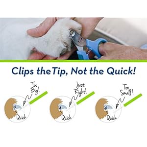 Zen Clipper Pet Nail Clipper for Dogs – Dog Nail Trimmer for Safer Pet Grooming Care - Clean, Quiet, and Easy-to-Use Stainless Steel Claw Trimmer - (5mm Hole) Zen Clipper Pet Nail Clipper for Dogs–Dog Nail Trimmer for Safer Pet Grooming Care Clean Quiet and Easy to Use Stainless Steel Claw Trimmer 5mm Hole