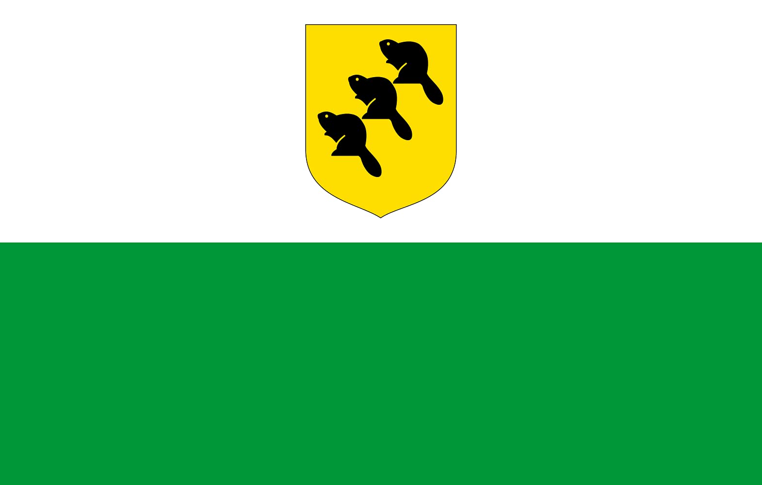Drapeau XL Põlvamaa lipp pavillon paysage de 2.16m² pour mât de jardin