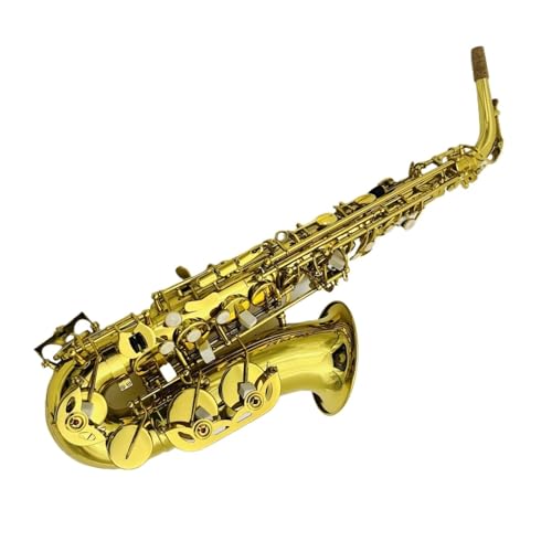 FAgTbNX Eb `[^JS[hbJ[yTbNXƃ}EXs[X