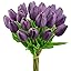 Purple Purple