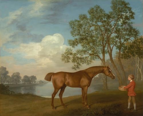 Impression toile George Stubbs graffiti : décoration murale de prestige grand format 60x90cm