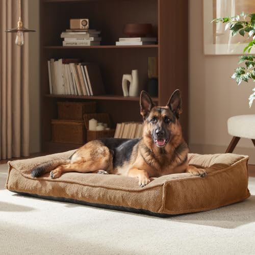 Woiil Cama Perro Grande,Cama para Perros Ergonómica Gruesa,122x91x26cm