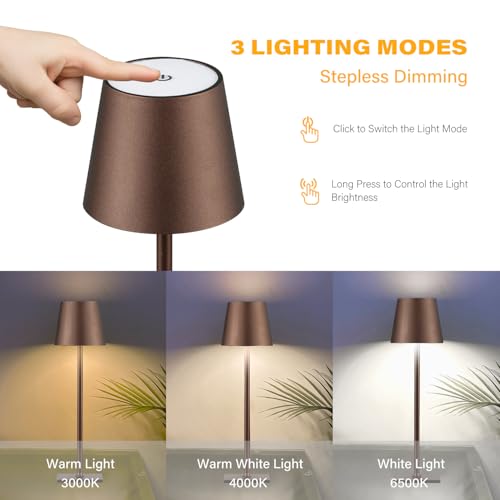 Image of CHLORANTHUS 2 Pack Cordless Table Lamps, 3 Colors Stepless Dimming, 5000mAh Rechargeable Battery LED Desk Lamp for Bedroom /Couple Dinner /Desk /Cafe /Dining Room /Terrace