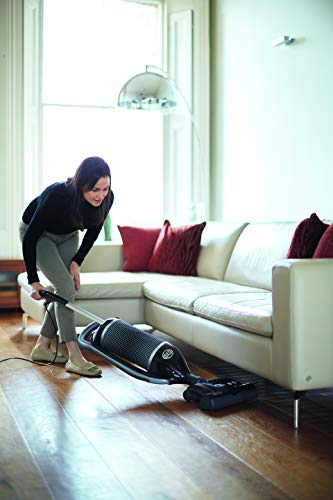 SEBO 90810GB Felix review