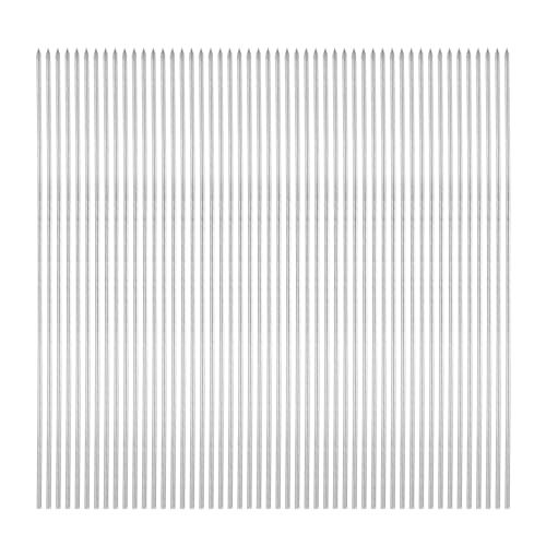 QUARKZMAN 25 Stück Schaschlikspieße Edelstahl 28cm x 3mm Edelstahl Runde Stäbe Wiederverwendbare BBQ-Grillspieße Outdoor-Grill Grillstäbchen für Fleisch, Garnelen, Obst und Gemüse
