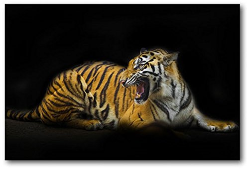 Tableau tigre en toile décoration salon moderne fauve 60 x 40