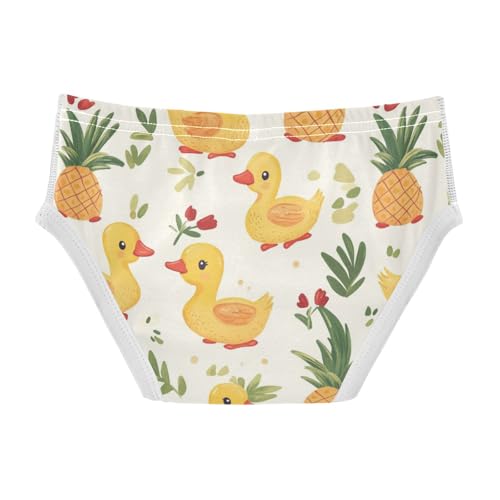 Wusikd Ducks Pineapplef Boys' Underwear Cotton Cute Boys Briefs Soft Toddler Underwear 2T2