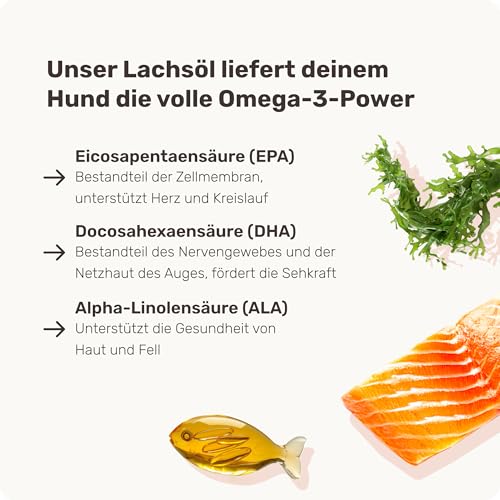 Lachsöl Drops für Hunde - 60 Leckerli (110g) von mammaly - Mit Lachs, Vitamin D & Omega 3 für Haut und Fell/Skin & Coat, Fellpflege & Hautpflege - Kann bei Haarausfall unterstützen für deinen Hund