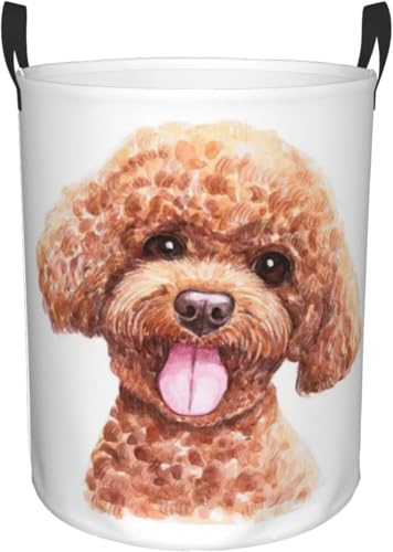 gCv[h ꕞ[󂩂 ܂ݑeʐ󕨂 AjfUC{bNX Vv[ M