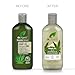 Dr Organic Hemp Oil 2 in 1 Shampoo & Conditioner, Fine Hair, Fine Hair, Mens, Womens, Natural, Vegan, Cruelty-Free, Paraben & SLS-Free, Certified Organic, 265ml, Packaging may vary Dr Organic Hemp Oil 2 in 1 Shampoo & Conditioner, Fine Hair, Fine Hair, Mens, Womens, Natural, Vegan, Cruelty-Free, Paraben & SLS-Free, Certified Organic, 265ml, Packaging may vary