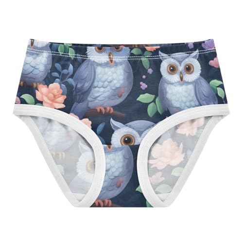 Cute Owl Navy Girls Briefs, Toddler Briefs, Girls' Cotton Brief Underwear, 2–8 Years